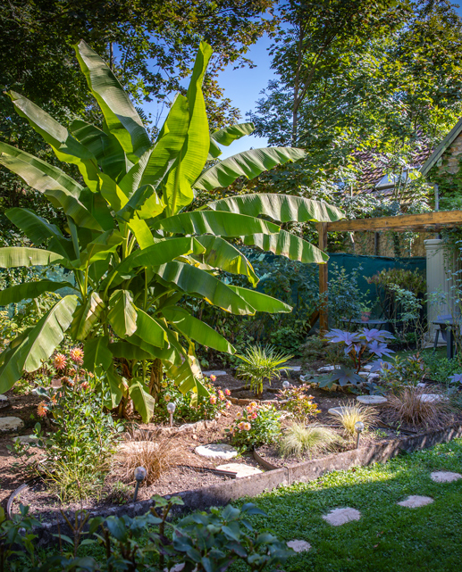 maison-des-thérapies-dole